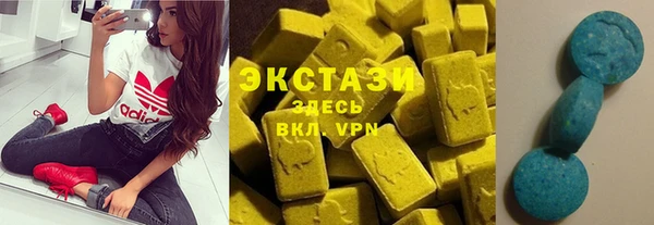 ECSTASY Богданович